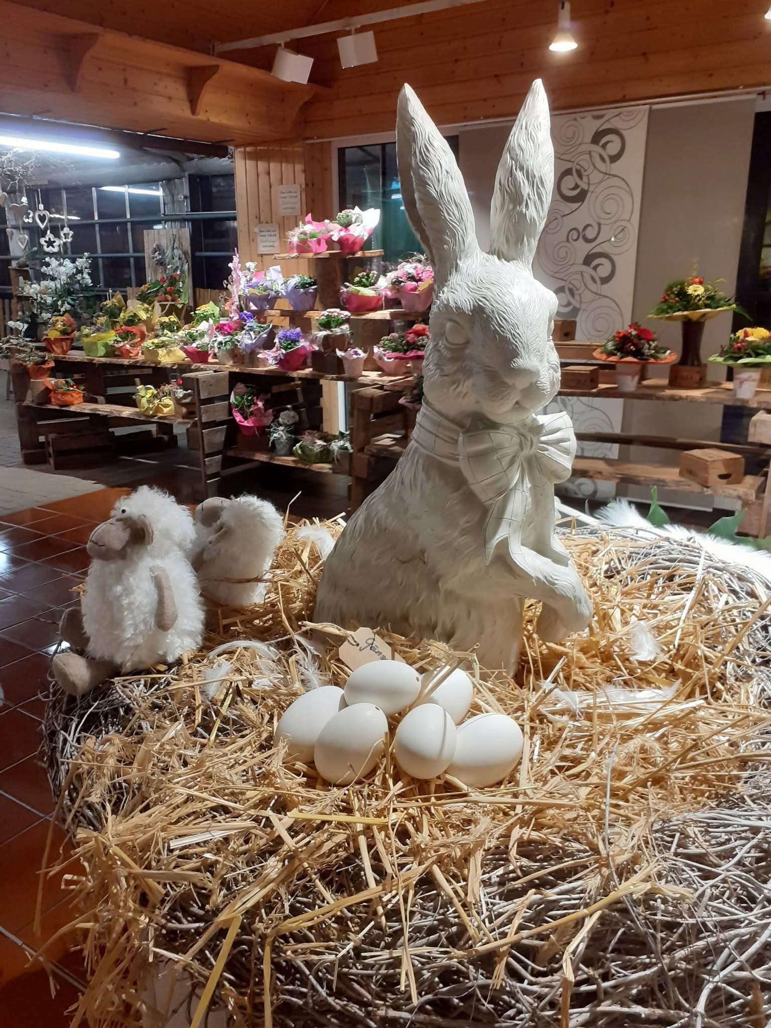 Foto Hase im Nest