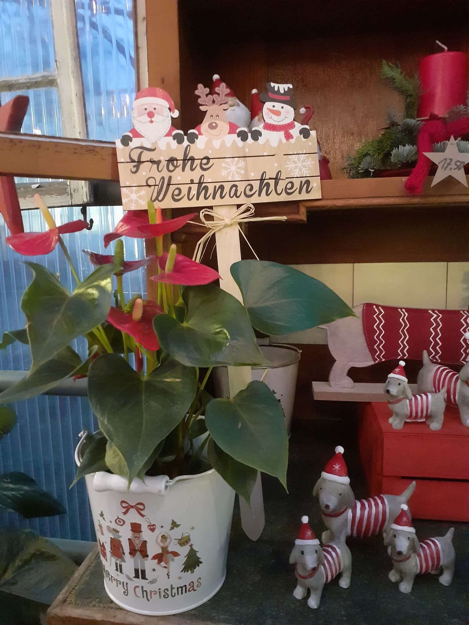 Weihnachten in der Gaertnerei Kamps