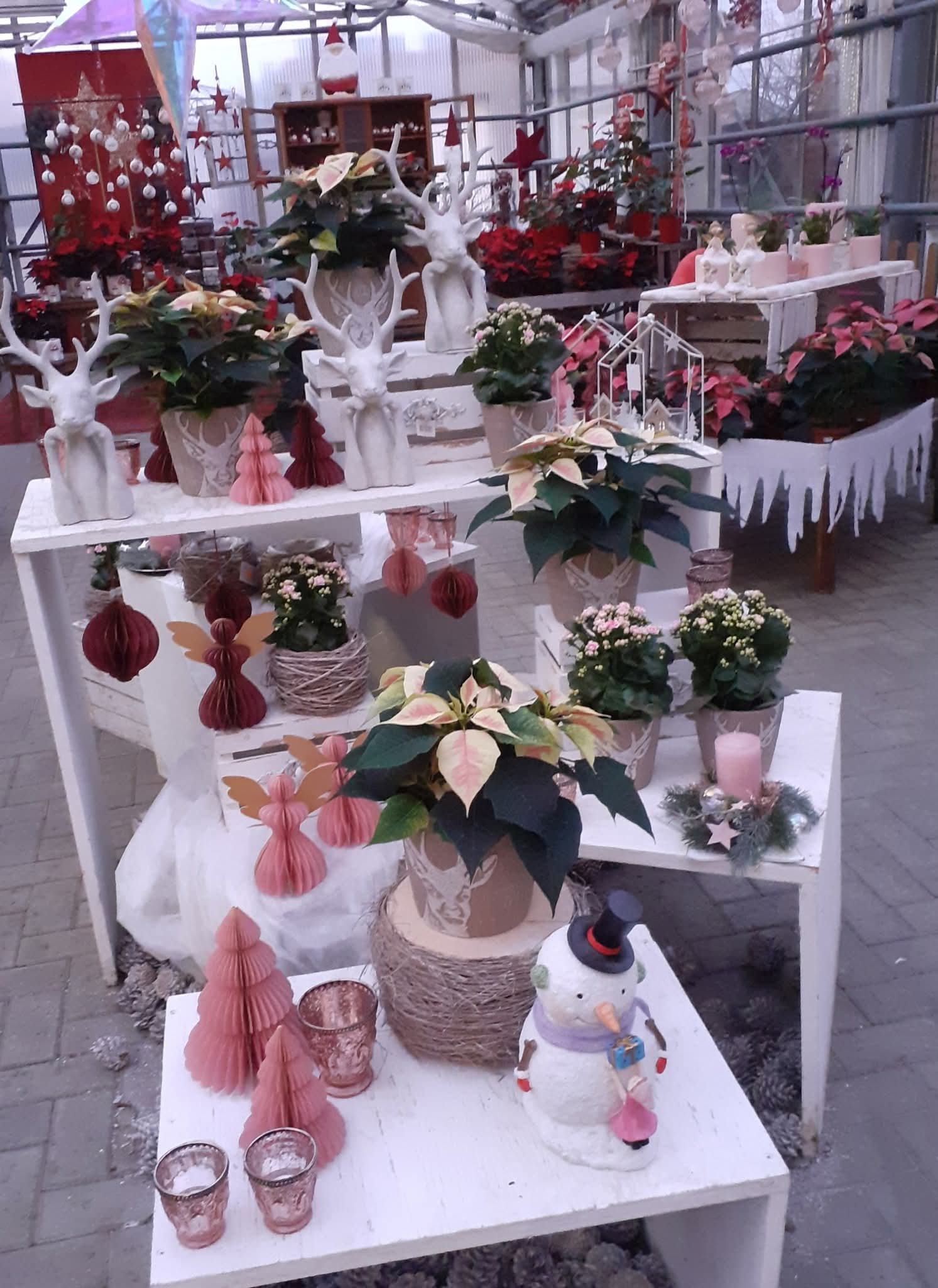 Blick ins Ladengeschäft